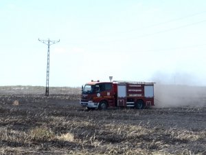 Sigara İzmariti 50 Dönüm Buğdayı 10 Dakikada Küle Çevirdi