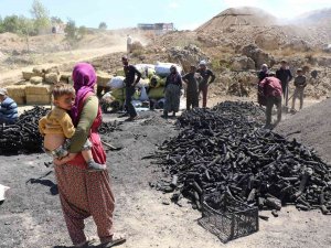 Yüzlerinde Kömür Karasıyla Mevsimlik İşçiler
