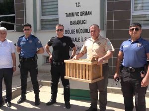 Polis, Annesiz Kalan İki Yavru Kargaya Sahip Çıktı