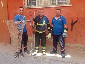 Havalandırma Boşluğuna Düşen Yavru Kedi İtfaiye Ekiplerince Kurtarıldı