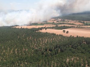 Çanakkale’de Ziraat Yangını Ormana Sıçradı