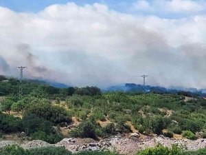 Ezine’de Ziraat Ve Orman Yangını