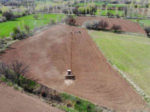 Tarımsal Girdi Fiyat Endeksi Yıllık Yüzde 117,31, Aylık Yüzde 7,45 Arttı