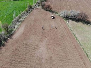 Tarımsal Girdi Fiyat Endeksi Yıllık Yüzde 117,31, Aylık Yüzde 7,45 Arttı