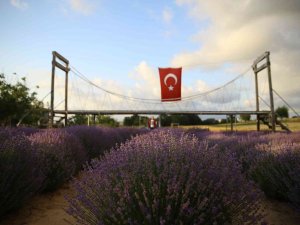 İ̇stanbul’un Yanı Başındaki Tekirdağ’da Mor Günler Başladı