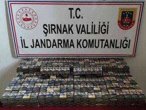 Şırnak’ta Kaçakçılık Ve Asayiş Operasyonu: 51 Gözaltı