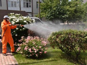 Selçuklu’da Haşerelere Karşı İlaçlama Çalışmaları Sürüyor