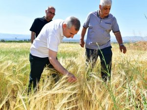 Yeşilyurt’ta Tarımsal Üretim Hız Kazandı