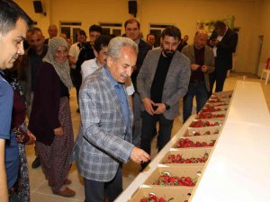 Akşehir Belediyesi Çilek Şenliğine Yoğun İlgi