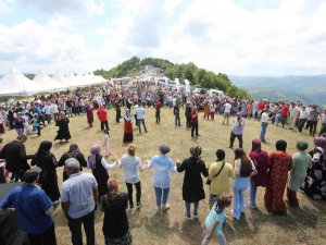 Geleneksel Çilek-kiraz Festivali