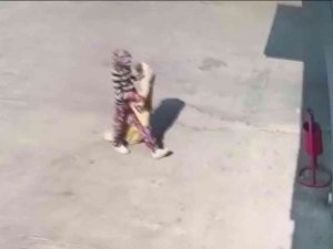 At Arabalı Hırsızların Rahatlığı Kameralara Yansıdı