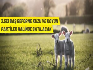 TİGEM Malya Tarım İşletmesinden küçükbaş hayvan satışı