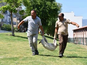 Bu Operasyonda ’Suçlular’ Değil ’Başıboş Keçiler’ Yakalandı