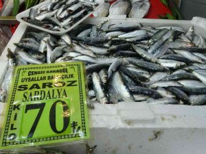 Çanakkale’de Balık Tezgahlarında Fiyatlar Arttı