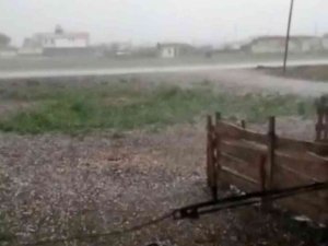 Ardahan’da Dolu Tarım Arazilerine Zarar Verdi