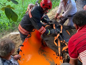 İ̇tfaiyeden İnek Kurtarma Operasyonu