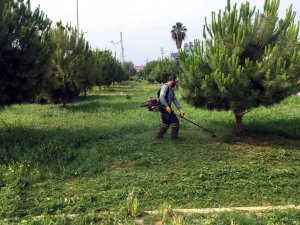 Akdeniz’de Park Ve Yeşil Alanlar Yenileniyor