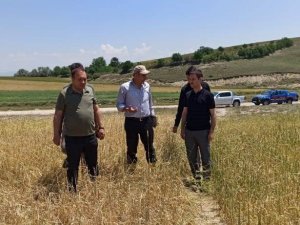 Kaymakam İ̇rdelp, Hasar Tespit Çalışmalarına Katıldı