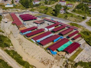 Ünye’de Modern Hayvan Pazarı Hizmete Açıldı