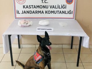 Jandarmanın Uyuşturucu Köpeği "Valör" Buldu, Yolcu Otobüsündeki Valizden 2 Kilogram Metamfetamin Çıktı