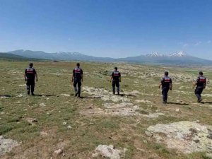 Defineciler Jandarmaya Suçüstü Yakalandı
