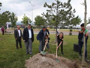 Engelsiz Yaşam Merkezi’nde 200 Fidan Toprakla Buluşturuldu