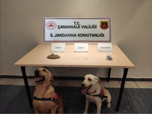 Çanakkale’de Uyuşturucuya Karşı 2 Ayda 24 Operasyon