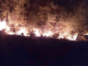Yangına 576 Personel, 148 Arazöz, 53 İş Makinesi Müdahale Ediyor