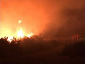Kaş’taki Makilik Yangını 2 Saatte Kontrol Altına Alındı