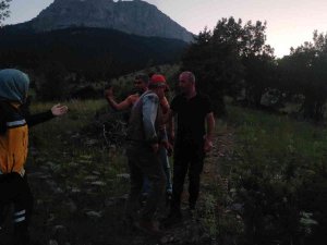 Tartıştığı Amcasını Tüfekle Yaraladı