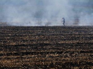 Doğan: "Sürdürülebilir Tarım İçin Anız Yakmayın"