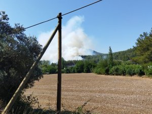 Seydikemer’de Orman Yangını Çıktı