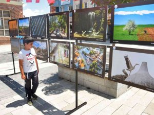 Yenişehir’de Fotoğraf Sergisi Ve Ödül Töreni Yapıldı