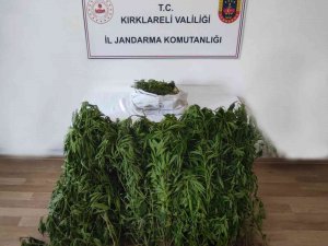 Kırklareli’de Dronla Tespit Edilen Adreslere Jandarmadan Şok Operasyon