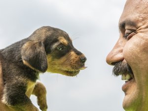 Mersin’de 2 Gün Çukurda Mahsur Kalan Köpek Kurtarıldı