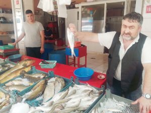 Yaz Sezonu Balıkları Tezgahlarda Yerini Aldı