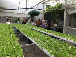 Aşçılık Öğrencileri Topraksız Tarımı İnceledi