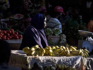 Dünyanın Gelir Eşitsizliğini ’Yükleniyorlar’