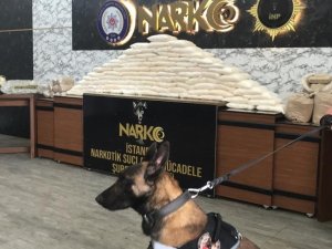İ̇stanbul’da Uyuşturucu Operasyonları: 176 Kilo Uyuşturucu Ele Geçirildi