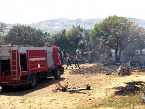 Marmaris Yangınına Büyükşehir Ekipleri De Müdahale Ediyor