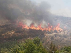 Kktc’deki Orman Yangınıyla Mücadele Devam Ediyor