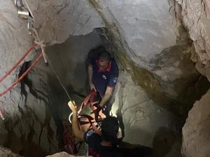Kuyuya Düşen İneği İtfaiye Kurtardı