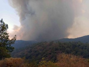 Yangın Yönünü Okluk Koyu’na Çevirdi