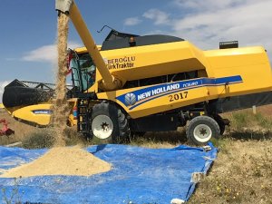 Kulu’da 2022 Yılının İlk Arpa Hasadı Başladı