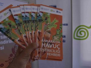 Beypazarlı Üreticilere Havuç Üretim Teknikleri Eğitimi Verildi