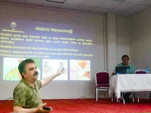 Mihalıççık’ta Kiraz Üreticisine Eğitim