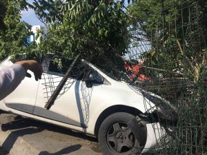Bayrampaşa’da Otomobil Refüjdeki Ağaca Çarptı