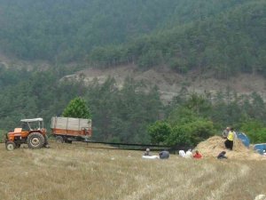 Orakla Biçiyor, Patozla Harman Çekiyorlar