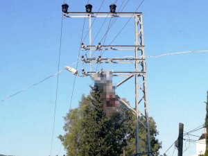 Elektrik Direğinde Akıma Kapılarak Hayatını Kaybetti