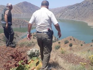 Elazığ’da Kaçak Avcılığın Önlenmesi İçin Denetimler Sürüyor